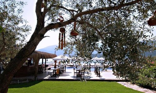 turkiye/mugla/bodrum/trendlife-hotels-torba_656f5174.jpg