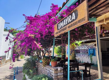 turkiye/mugla/bodrum/umayra-apart-otel-restoran_166acb5e.jpg