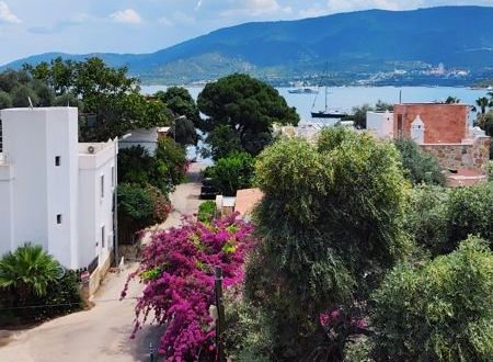 turkiye/mugla/bodrum/umayra-apart-otel-restoran_3d4bf5dc.jpg