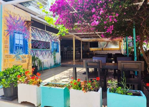 turkiye/mugla/bodrum/umayra-apart-otel-restoran_7c80a42f.jpg