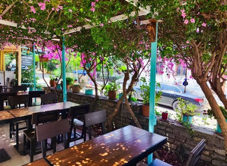 turkiye/mugla/bodrum/umayra-apart-otel-restoran_905d2dd4.jpg