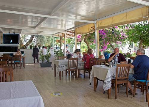 turkiye/mugla/bodrum/umayra-apart-otel-restoran_d19f3028.jpg