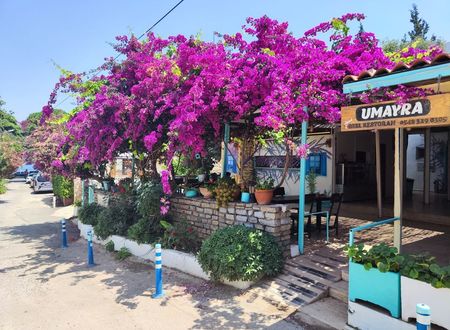 turkiye/mugla/bodrum/umayra-apart-otel-restoran_ee58dec7.jpg