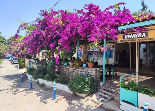 turkiye/mugla/bodrum/umayra-apart-otel-restoran_ee58dec7.jpg