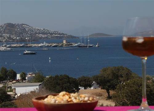 turkiye/mugla/bodrum/villa-cosy-982386306.JPG