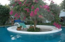 turkiye/mugla/bodrum/villa-oliva-butik-hotel-e7cd3048.jpg