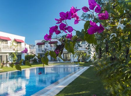 turkiye/mugla/bodrum/villa-rustica-hotel_683a00f0.jpg