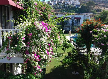 turkiye/mugla/bodrum/villa-rustica-hotel_8b9b6143.jpg