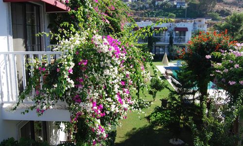 turkiye/mugla/bodrum/villa-rustica-hotel_8b9b6143.jpg