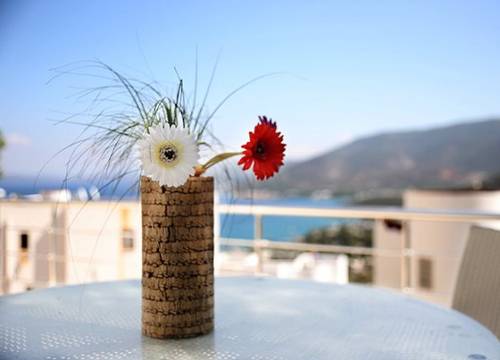 turkiye/mugla/bodrum/villa-sandra-1827241.jpg