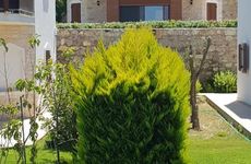 turkiye/mugla/bodrum/villazakkum_37e7f787.jpg