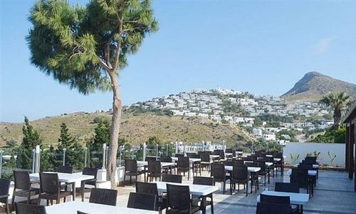 turkiye/mugla/bodrum/woxxie-hotel-akyarlar-2141612841.jpg