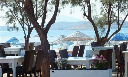 turkiye/mugla/bodrum/yahsi-beach-hotel-387827417.jpg