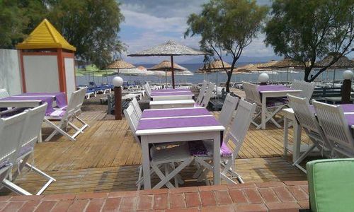 turkiye/mugla/bodrum/yahsi-beach-hotel_15f2d70d.jpg