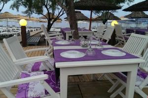 turkiye/mugla/bodrum/yahsi-beach-hotel_7cdf9fc8.jpg