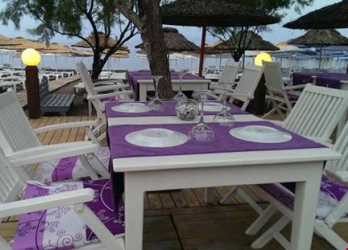 turkiye/mugla/bodrum/yahsi-beach-hotel_7cdf9fc8.jpg