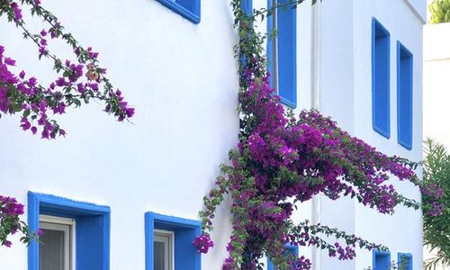 turkiye/mugla/bodrum/yakamoz-otel_5b6e3ca2.jpg