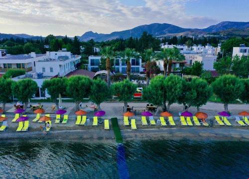 turkiye/mugla/bodrum/yilmaz-otel_fedf8d7d.jpg