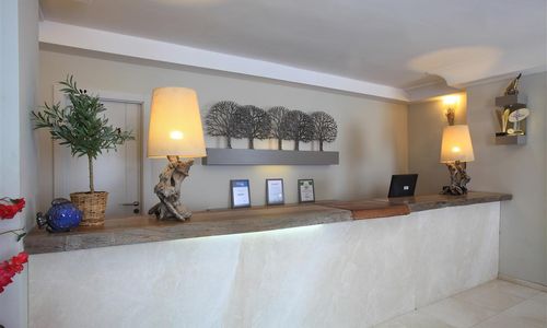 turkiye/mugla/bodrum/zeytinada-otel-46bd7d45.jpg