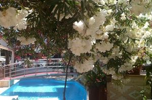 turkiye/mugla/dalyan/dalyan-terrace-hotel_39302cc9.jpg