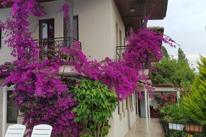 turkiye/mugla/dalyan/galaksy-otel-34a3d32b.jpg