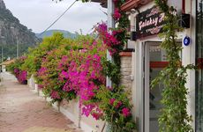 turkiye/mugla/dalyan/galaksy-otel-90460be7.jpg
