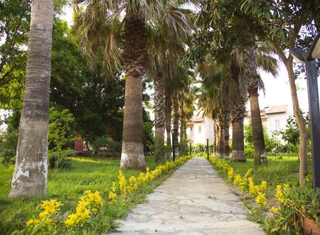 turkiye/mugla/dalyan/hotel-palme-dalyan-dcee62dd.jpg
