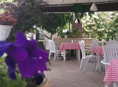 turkiye/mugla/dalyan/isil-suit-62bdcca3.jpg