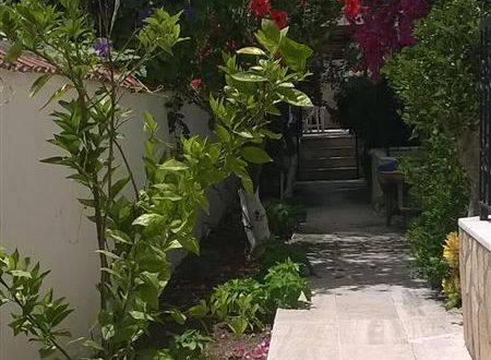 turkiye/mugla/dalyan/isil-suit-7d6749c0.jpg