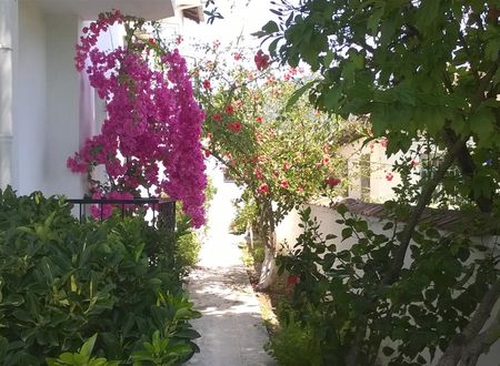 turkiye/mugla/dalyan/isil-suit-c0ae3f2c.jpg
