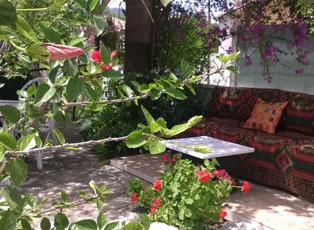 turkiye/mugla/dalyan/isil-suit-db7b2c8f.jpg
