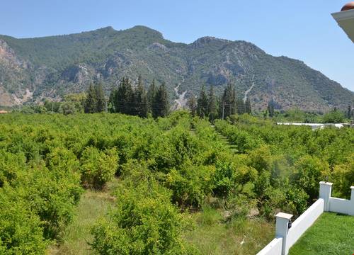 turkiye/mugla/dalyan/kiparis-villa_5836d7ae.jpg