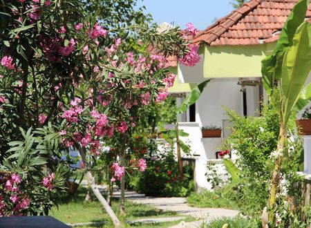 turkiye/mugla/dalyan/riverside-hotel_cec6942f.jpg