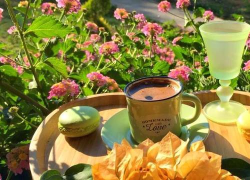 turkiye/mugla/dalyan/sunshine-boutique-hotel-dalyan_d92b4582.jpg