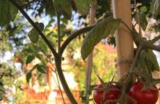 turkiye/mugla/datca/andizalti-doga-evleri_6cb2228c.jpg