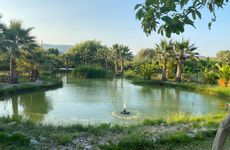 turkiye/mugla/datca/angelsgarden_da398a40.jpg