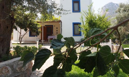 turkiye/mugla/datca/artolive-datca-butik-otel_17aa060c.jpg