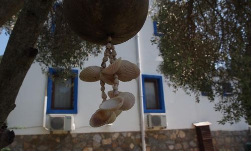 turkiye/mugla/datca/artolive-datca-butik-otel_682c366b.jpg
