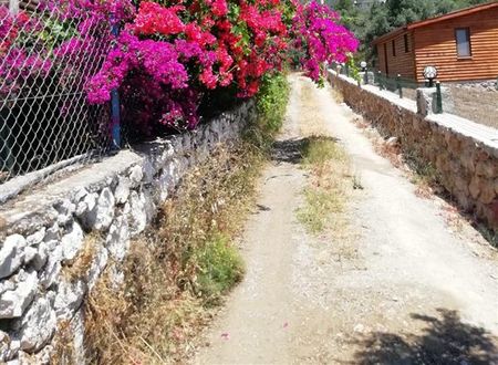 turkiye/mugla/datca/bahar-bahce-datca-93298e55.jpg