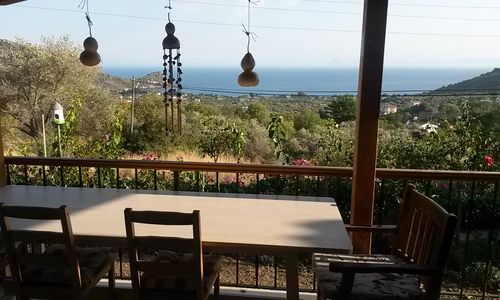 turkiye/mugla/datca/begonvilla_63cfa258.jpg
