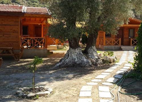 turkiye/mugla/datca/datca-dream-garden_2387ce9e.jpg