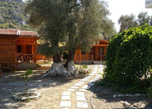 turkiye/mugla/datca/datca-dream-garden_5ff68d8b.jpg