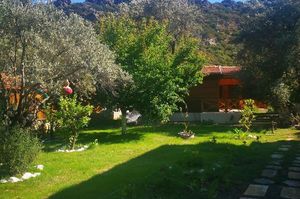 turkiye/mugla/datca/datca-moria-tatil-evleri-bungalov_5a47df33.jpg