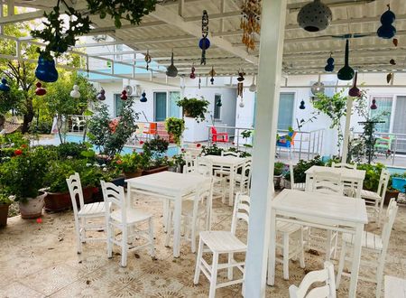 turkiye/mugla/datca/elfida-apart-otel-palamutbuku_19e11abe.jpg