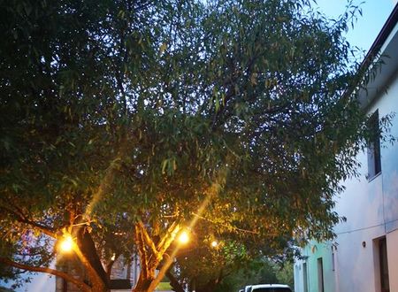 turkiye/mugla/datca/gebora-tatil-evleri-suits_8e61d31a.jpg
