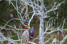 turkiye/mugla/datca/grape-butik-otel_4bb9cc22.jpg