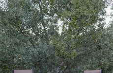 turkiye/mugla/datca/grape-butik-otel_924433f3.jpg