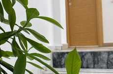 turkiye/mugla/datca/gulhan-city-hotel_085081c6.jpg