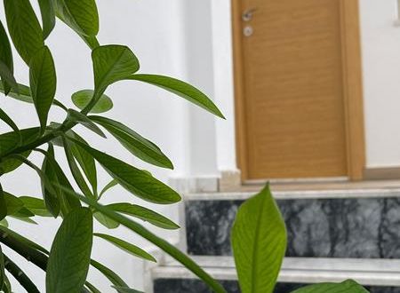 turkiye/mugla/datca/gulhan-city-hotel_085081c6.jpg