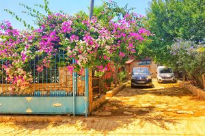 turkiye/mugla/datca/halise-apart-6b4e0205.jpeg